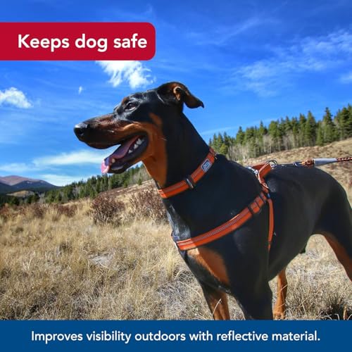 Coastal Pet K9 Explorer Reflective Adjustable Padded Dog Harness - Plush Chest Pad for Comfort - No-Pull Dog Harness for Small and Large Dogs - Campfire Orange - 1" x 20"-30", Medium - Image 3