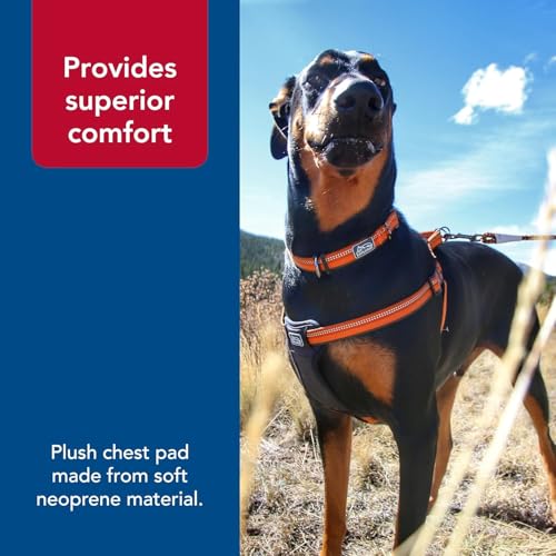 Coastal Pet K9 Explorer Reflective Adjustable Padded Dog Harness - Plush Chest Pad for Comfort - No-Pull Dog Harness for Small and Large Dogs - Campfire Orange - 1" x 20"-30", Medium - Image 5