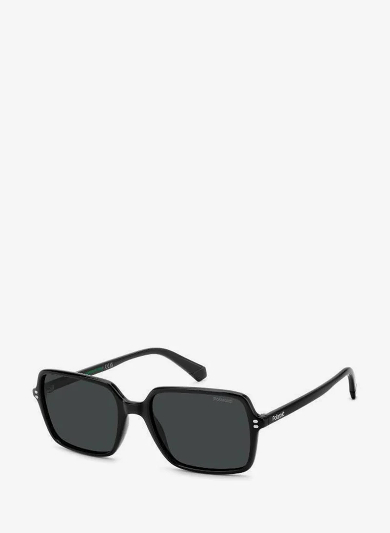 Polaroid  Square Sunglasses for Men | Best Price UAE