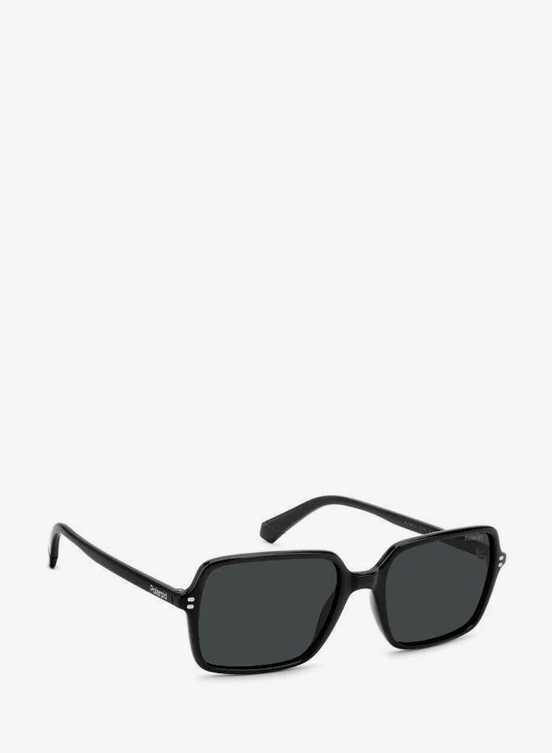 Polaroid  Square Sunglasses for Men | Best Price UAE