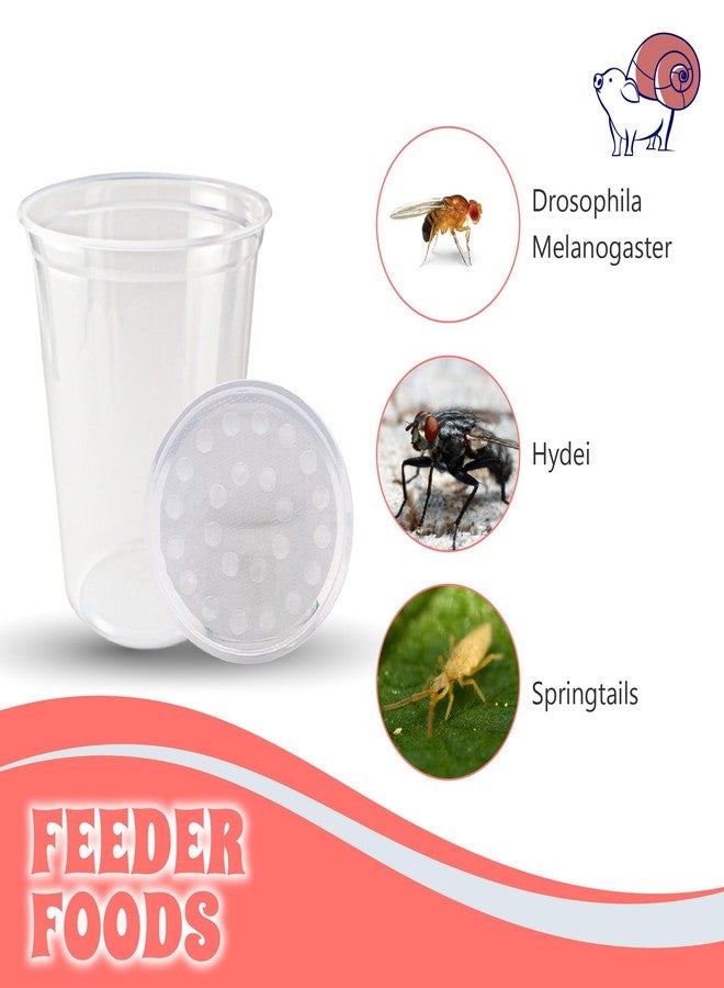 Snout and Shell Deli Cups with Fabric Vented Lids, 10 Pack - Secure Fruit Fly & Insect Cultures, Prevent Escapes & Contaminants, Easy Fruit Fly Media Preparation, Hot Liquid Safe - Image 4