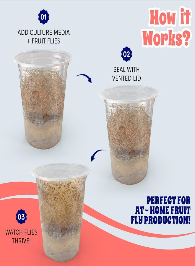 Snout and Shell Deli Cups with Fabric Vented Lids, 10 Pack - Secure Fruit Fly & Insect Cultures, Prevent Escapes & Contaminants, Easy Fruit Fly Media Preparation, Hot Liquid Safe - Image 3