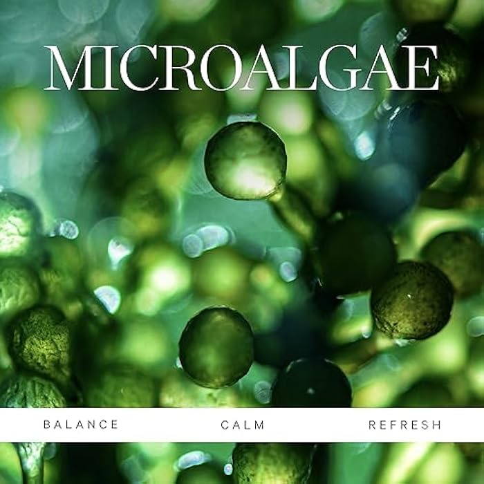 KORA Organics Active Algae Lightweight Moisturizer, Hydrate and Soothe, Certified Organic, Cruelty Free, 0.51 fl oz - Image 4