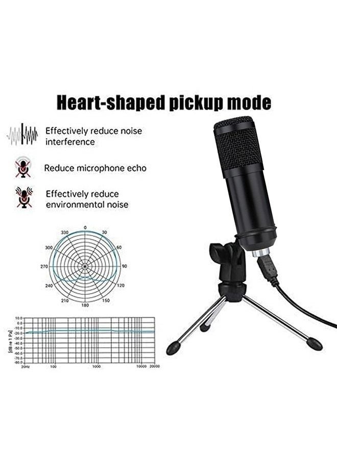 MARGOUN - Recording Studio Mic Loud Sound Condenser Microphone - Image 1