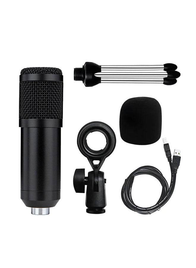 MARGOUN - Recording Studio Mic Loud Sound Condenser Microphone - Image 1