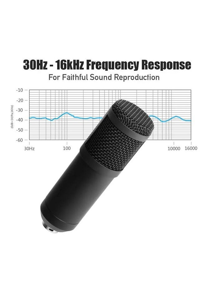 MARGOUN - Recording Studio Mic Loud Sound Condenser Microphone - Image 1