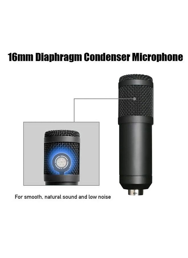 MARGOUN - Recording Studio Mic Loud Sound Condenser Microphone - Image 1