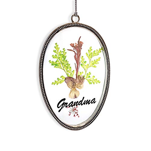 BANBERRY DESIGNS BANBERRY DESIGNS Gift for Grandma Suncatcher - Dried and Pressed Flowers with Grandma Printed on Front Oval- Sun  - Image 1