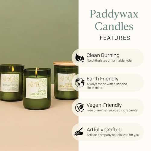 Paddywax Eco Collection Scented Soy Wax Candle in Glass Jar, Verbena & Lemongrass Fragrance, Green Vessel with Wood Lid, 8 oz - Image 4