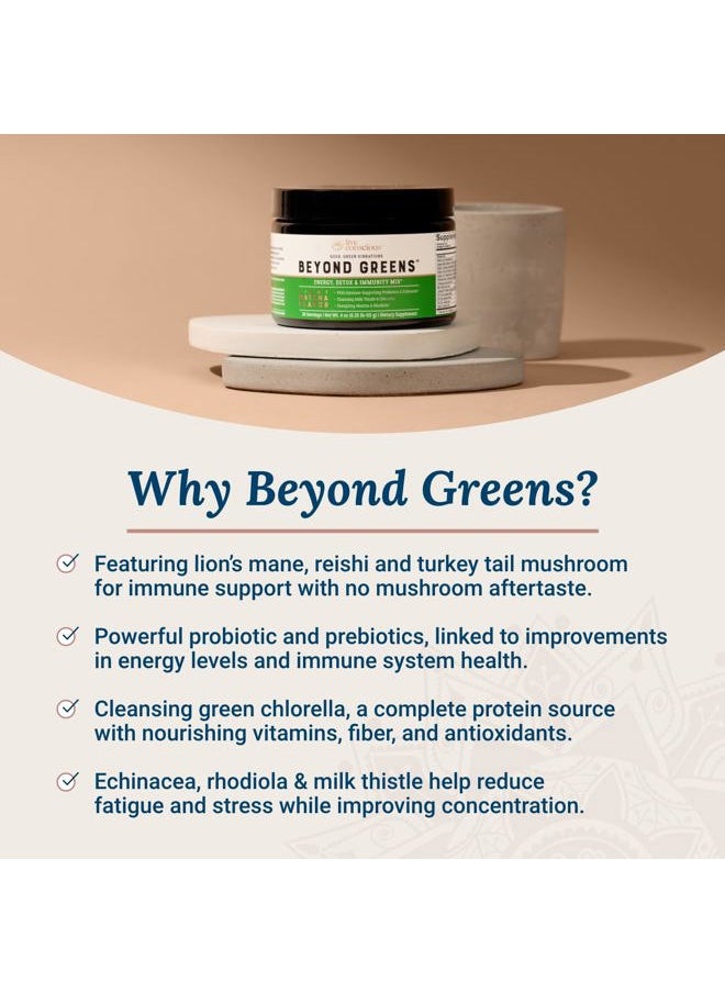Max Green Alchemy Beyond Greens Concentrated Superfood Powder - Matcha Flavor w/Chlorella, Echinacea, Probiotics for Immune Support & Energy - 30 Servings (2-Pack)  - Image 4