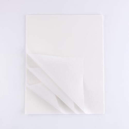 ورق تداخل غير مخزن خالي من الحمض من لاينكو 11 × 14 ورق أرشيفي يحافظ على الصور الفوتوغرافية والفنون والنسيج للطباعة بالأبيض والأسود والألوان والطباعة بالألبوم حزمة من 100 ورقة