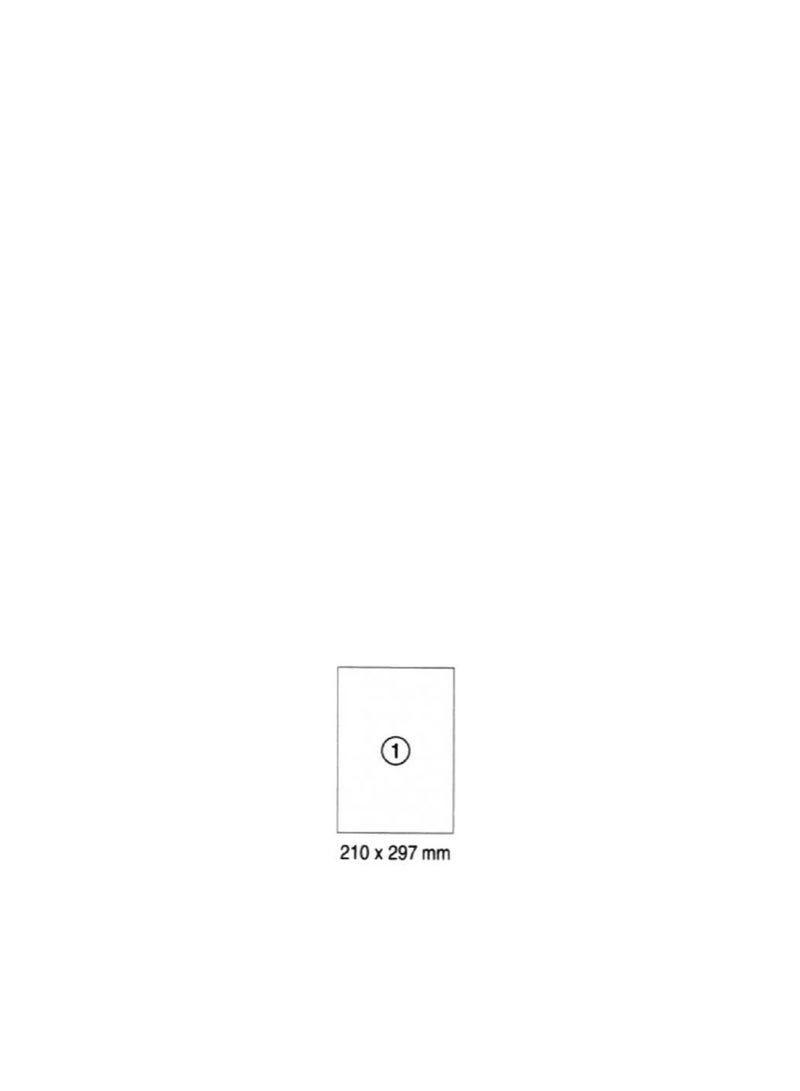 1 label-sheet, straight corners, A4, 210 x 297 mm, 100 sheets/pack - Image 3