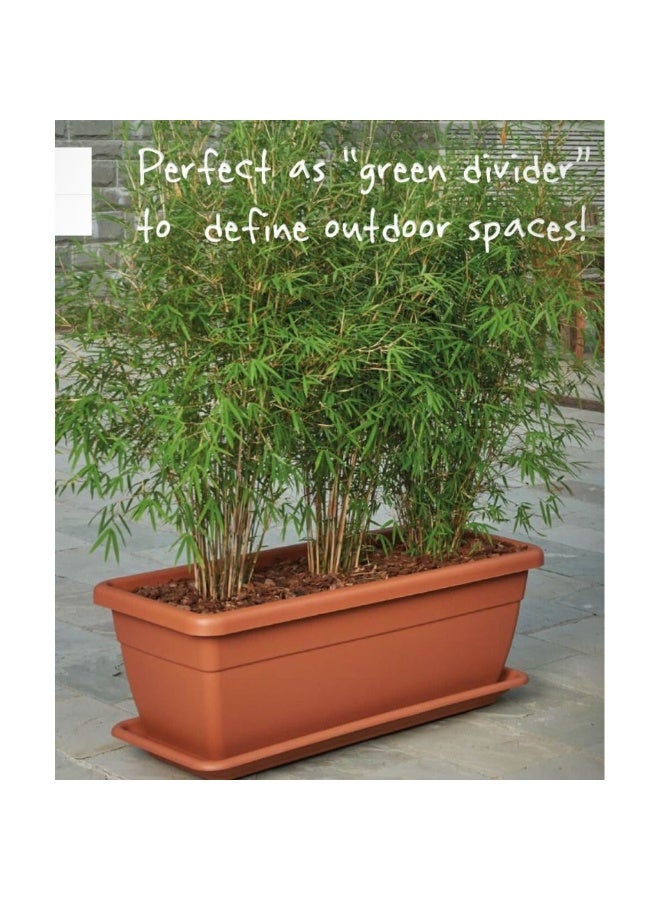 Idel Large Rectangular Raised Garden Planter Box 80x37x32 cm – 60L Plastic Pot for Outdoor Plants, Flowers, Herbs & Vegetables – Durable Container for Balcony, Patio, Terrace by Idel - Image 3