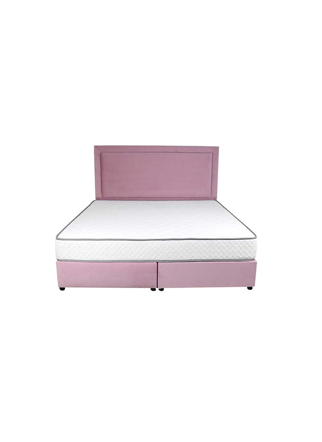 Bed and Mattress Zone Velvetine Upholstered Bed 203 X 120 Twin Size Pink Color, Mattress Size-200x120cm (Mattress sold separately)  - Image 3