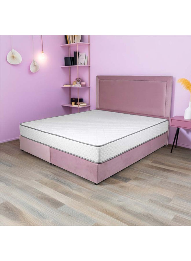 Bed and Mattress Zone Velvetine Upholstered Bed 203 X 120 Twin Size Pink Color, Mattress Size-200x120cm (Mattress sold separately)  - Image 5