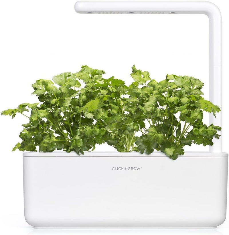 Click and Grow Cilantro/Coriander Refill 3-Pack for Smart Garden - Image 2