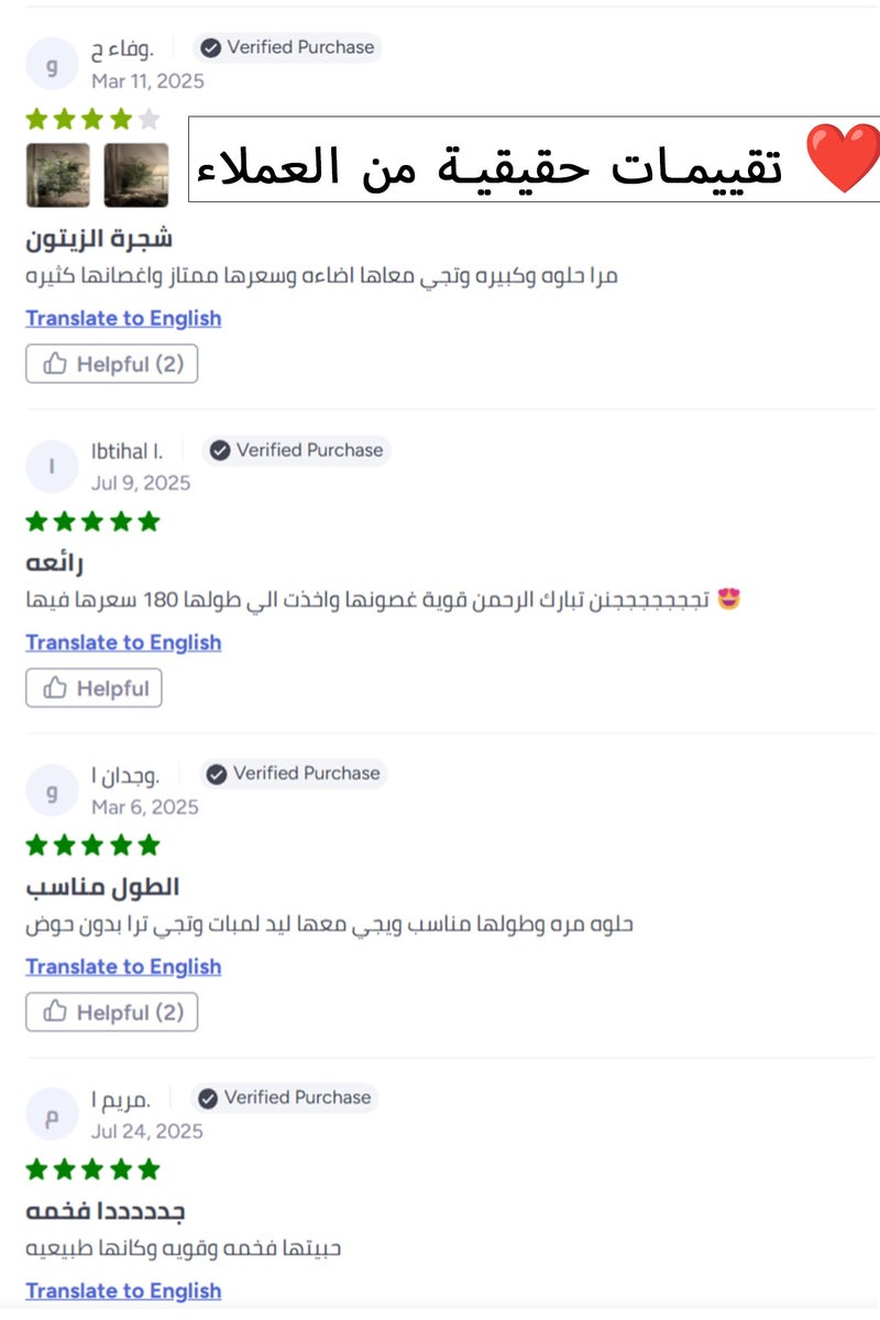 عربست 180CM شجرة الزيتون كبيره صناعية عالية، شجرة زيتون زائفة مزروعة في وعاء، فروع زيتون صناعية كبيرة مع ثمار، شجره الزيتون، شجر زينه صناعيه طويله بالاصيص شجرة صناعية للديكور الداخلي في المنزل الحديث، المكتب، غرفة المعيشة، والديكور الأرضي - Image 4