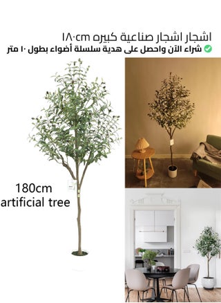 شجرة زيتون 180 سم