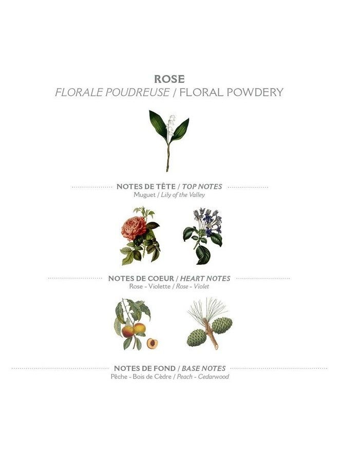 PANIER DES SENS Rose Hand Cream For Dry Cracked Hands With Olive Oil Made In France 97% Natural 2.6Floz75Ml  - Image 5