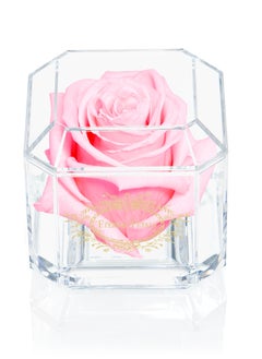 ETERNAL PETALS Eternal Petals,  A 100% Real Rose That Lasts Years - Gold Solo (Light Pink)  - Image 1