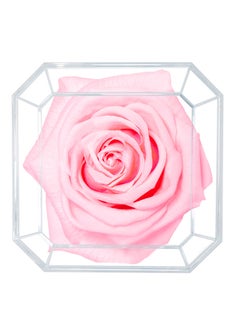 ETERNAL PETALS Eternal Petals,  A 100% Real Rose That Lasts Years - Gold Solo (Light Pink)  - Image 2