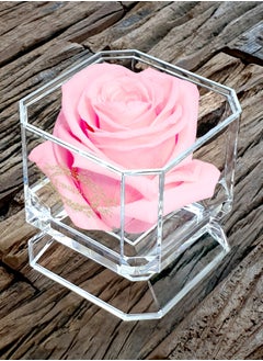 ETERNAL PETALS Eternal Petals,  A 100% Real Rose That Lasts Years - Gold Solo (Light Pink)  - Image 3