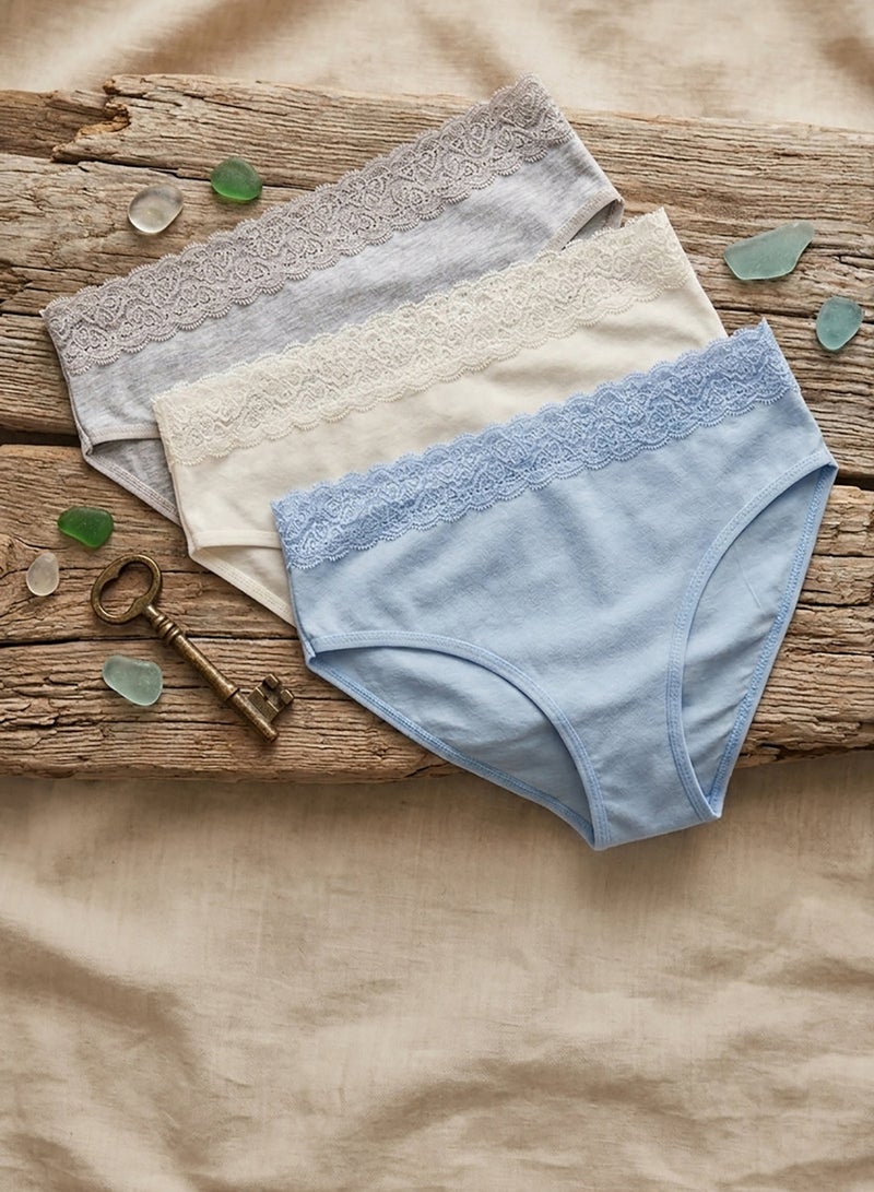 Carina Pack of 3 Colored Brief Panties - Image 3
