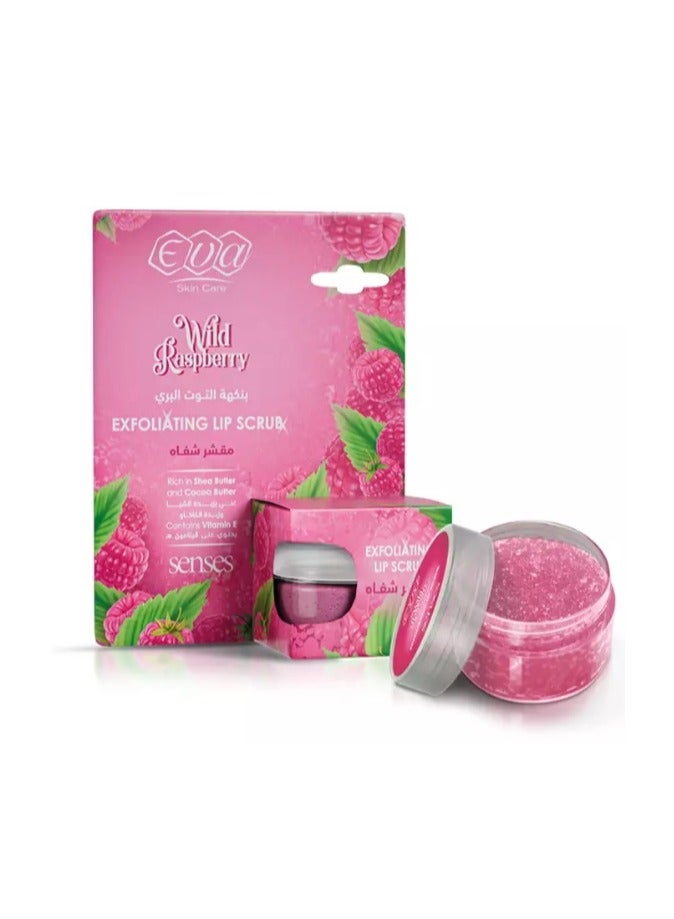 Eva Eva Skin Care Exfoliating Lip Scrub Raspberry flavored 20 GM