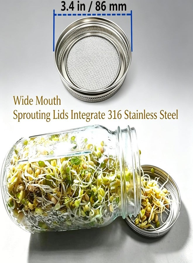 wollcocer Sprout Sprouting Mesh Lids Growing Kit for Wide Mouth Mason Jar Bottle Lid - Image 3