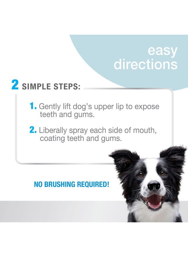 Nylabone Advanced Oral Care Pet Dental Spray, Liquid Tartar Remover & Breath Freshener for Dogs, Dog Teeth-Cleaning, 4 oz.  - Image 2