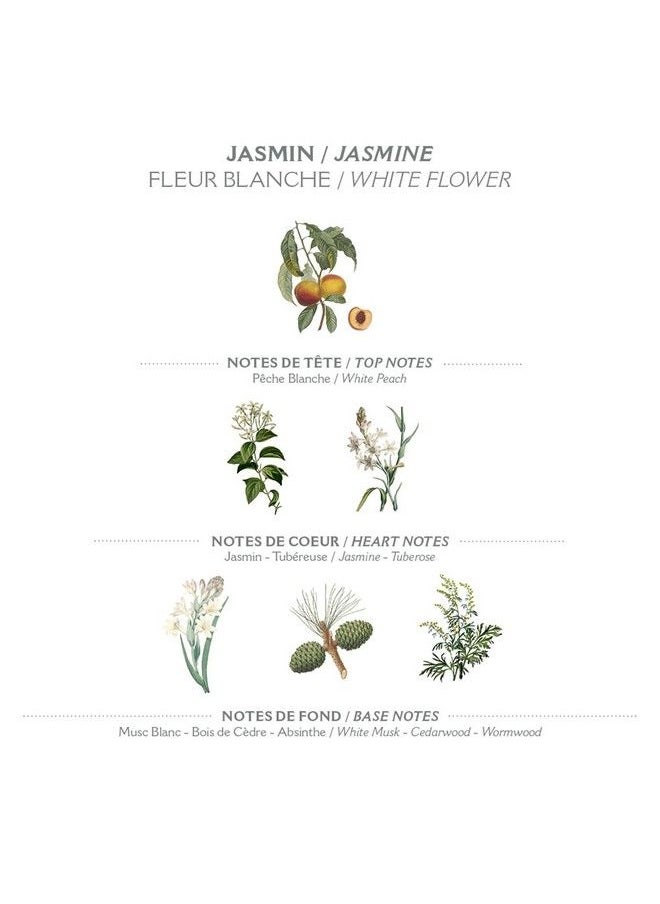 PANIER DES SENS Shower Gel (Jasmine)…  - Image 4