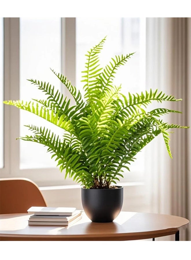 Kutis 1-Piece Artificial Plant with Pot For Home Garden Decor Green/Black  Plastic 55 cm. - Image 2