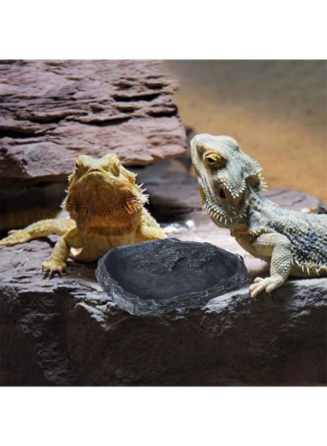 Reptile Feeding Bowl, Reptile Rock Worm Feeder Food and Water Dish - Image 5