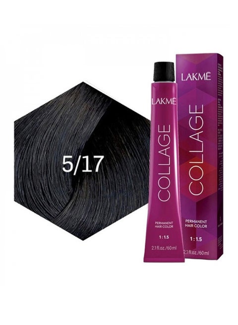 Lakme Collage Permanent Hair Color 5/17
