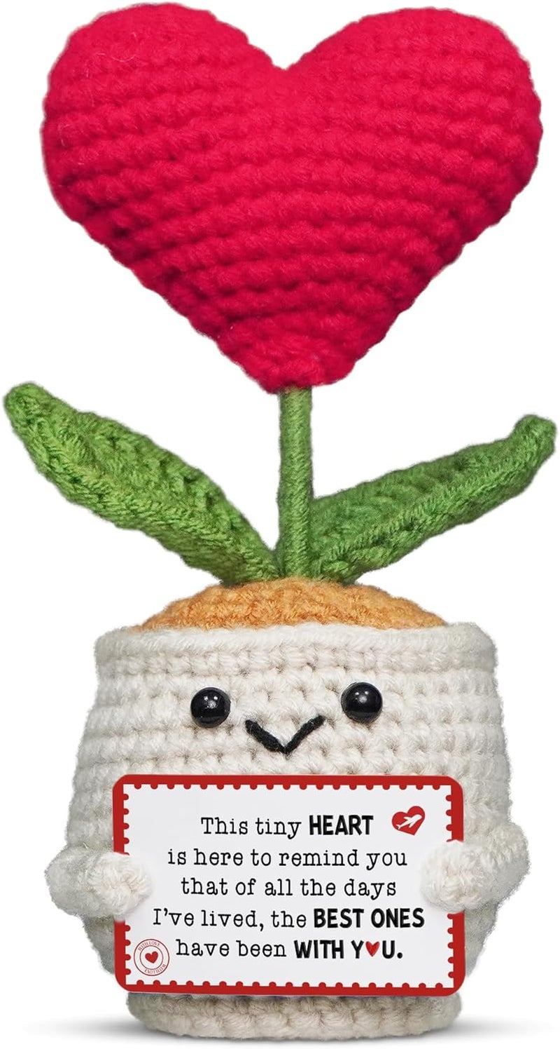 OASSIE Christmas Anniversary Couple Gifts for Women Men - Heart Flower Pot Crochet with Card - Romantic Birthday Gifts for Him Her Boyfriend Girlfriend Wife Husband, Stocking Stuffers for Women - Image 1