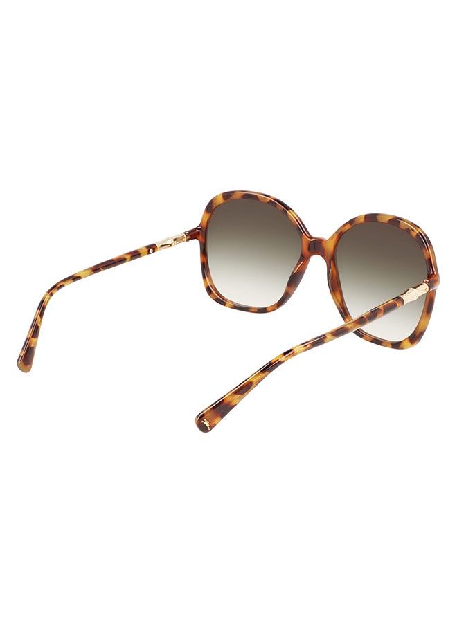 Longchamp نظارة شمسية مستطيلة للحماية من الأشعة فوق البنفسجية للنساء - LO711S-255-5917 - مقاس العدسة: 59 ملم  - Image 5