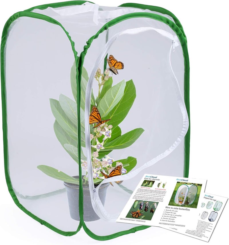RESTCLOUD 23.6" Large Butterfly Habitat Insect Cage Caterpillars Enclosure Pop-up Clear View 6 Mesh Panels 15.7 x 15.7 x 23.6 Inches Tall - Image 1