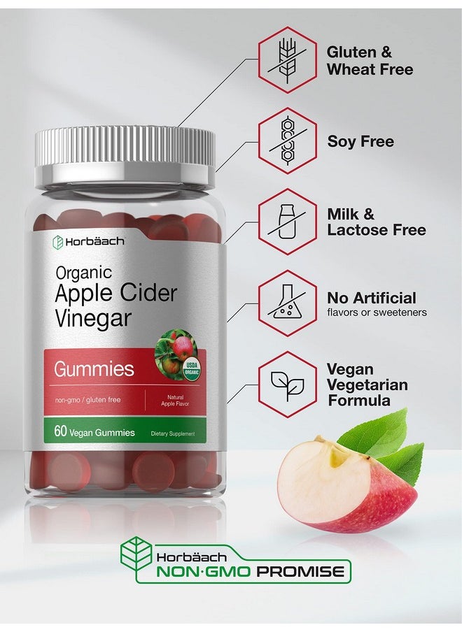Horbaach Horbäach Organic Apple Cider Vinegar Gummies | 60 Gummies | Vegan, Non-GMO & Gluten-Free Supplement | USDA Organic ACV | Apple Flavor  - Image 4