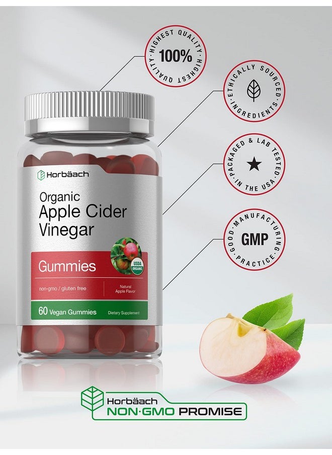Horbaach Horbäach Organic Apple Cider Vinegar Gummies | 60 Gummies | Vegan, Non-GMO & Gluten-Free Supplement | USDA Organic ACV | Apple Flavor  - Image 5