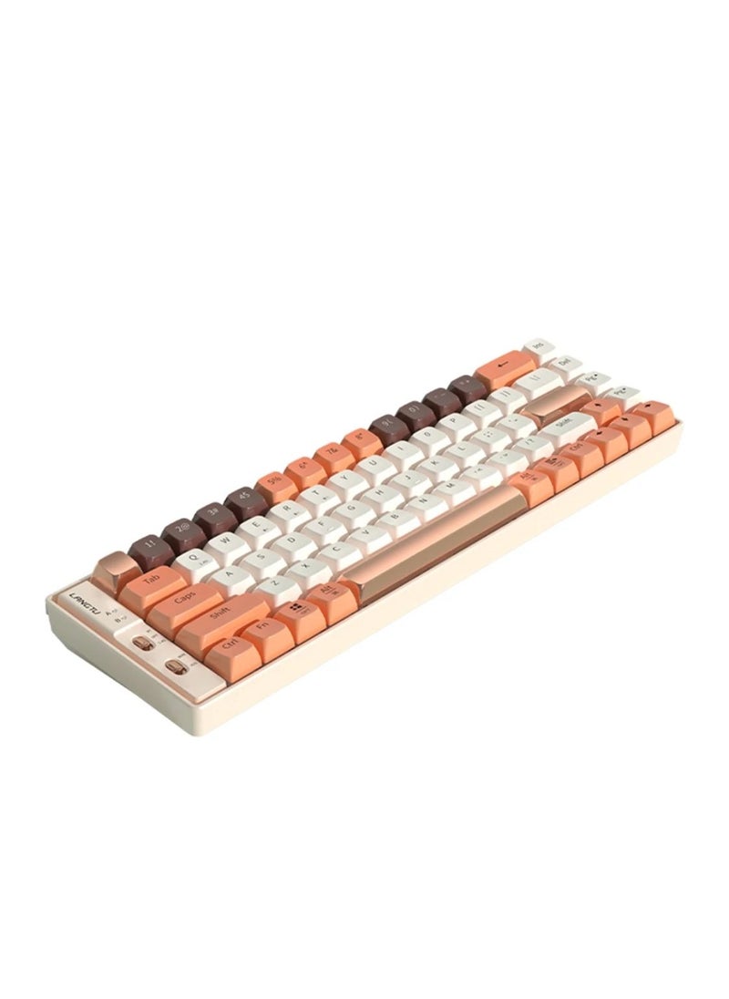 لانغتو - Outemu اللغة إل 10 لوحة مفاتيح ميكانيكية 69 مفتاحًا PBT Keycaps ثلاثي الوضع بلوتوث 5.0 + 2.4G لاسلكي + نوع سي برمجة ماكرو سلكية مخصصة التبديل الميكانيكية ل - البرتقالي COD - Image 1
