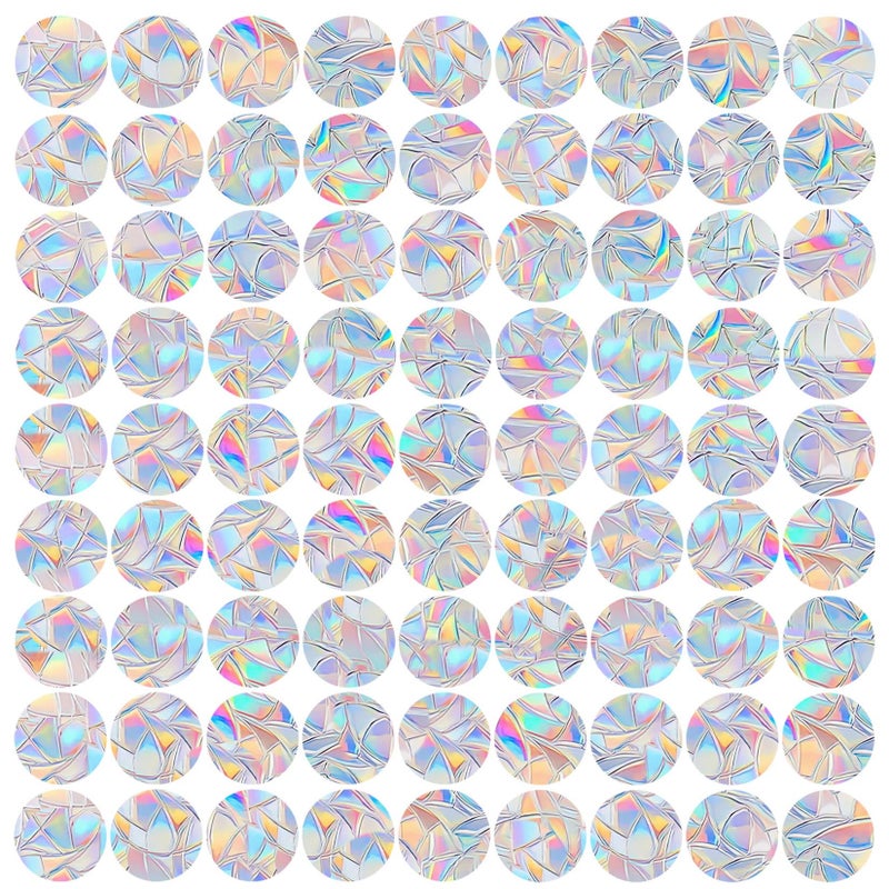 81 Pieces Circle Window Decals for Bird Strikes AntiCollision Clings to Save BirdsNon Adhesive Vinyl Rainbow Suncatch Stickers Easy Remove No Residue and Reusable