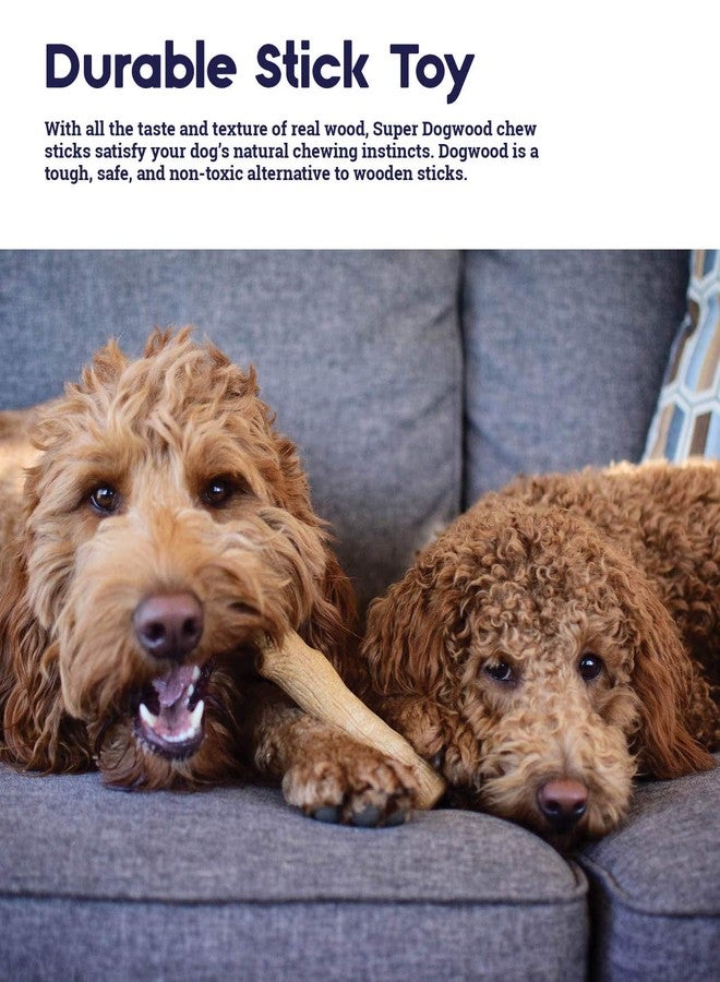 بيتستاجيز لعبة مضغ متينة للكلاب من بيتستيجز أوتوارد هاوند، مصنوعة من خشب الكورنيل، متوسطة الحجم - عصا مضغ تدوم طويلاً مصنوعة من خشب حقيقي - صنع في الولايات المتحدة الأمريكية، متوسطة الحجم - Image 4