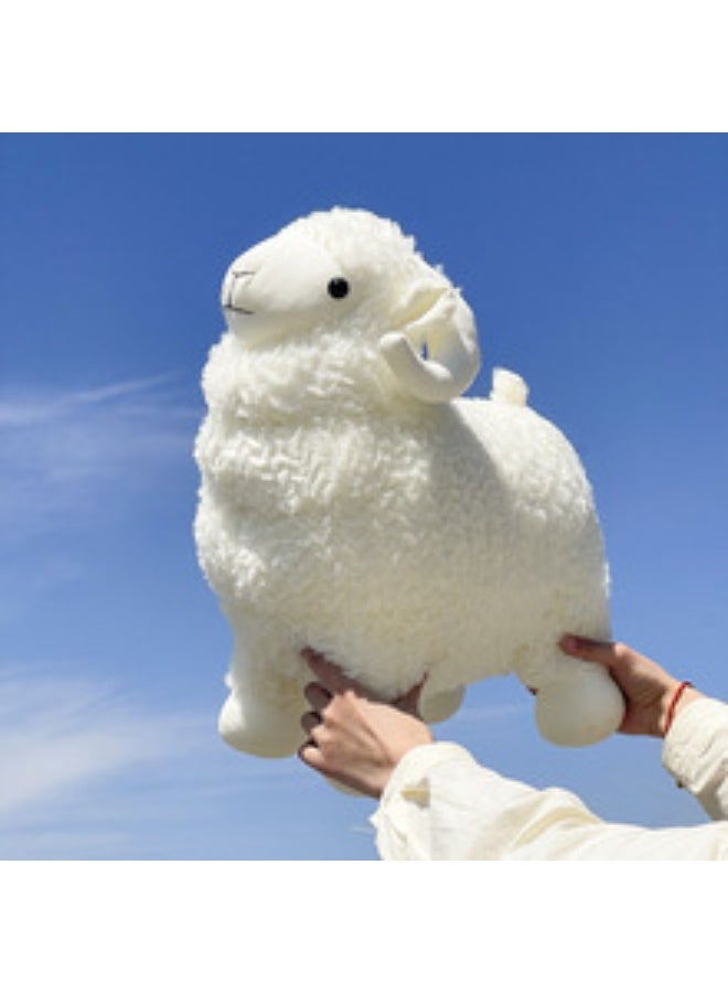 KHAJUL Sheep Plush Toy – 35cm Soft Stuffed Animal Lamb, Safe & Secure Eyes, Machine Washable, for Eid al-Adha, Birthday & Kids’ Gifts, White - Image 1