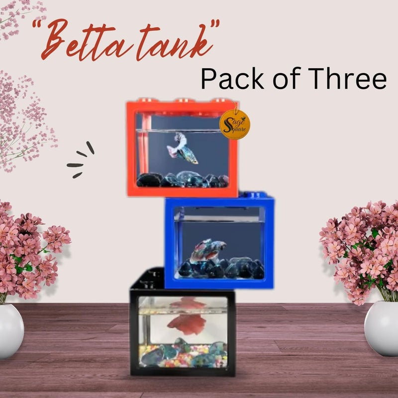 Sage Square حوض سمك بيتا – مثالي للمساحات الصغيرة، تصميم متين وأنيق للمبتدئين ومربي الأسماك ذوي الخبرة، حوض سهل الصيانة لسمك بيتا، مثالي للمنزل أو المكتب (عبوة من 3) - Image 4