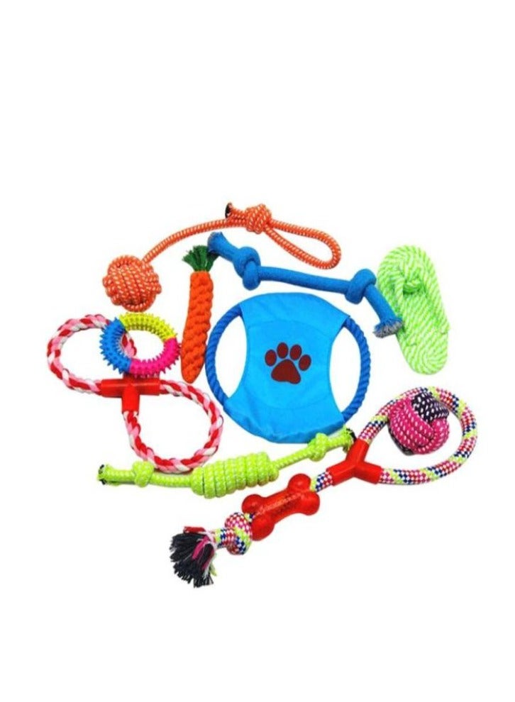 10-Piece Pet Puppy Toys Set Blue/Green/Red - Image 1