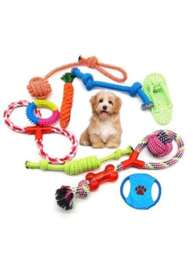 10-Piece Pet Puppy Toys Set Blue/Green/Red - Image 2
