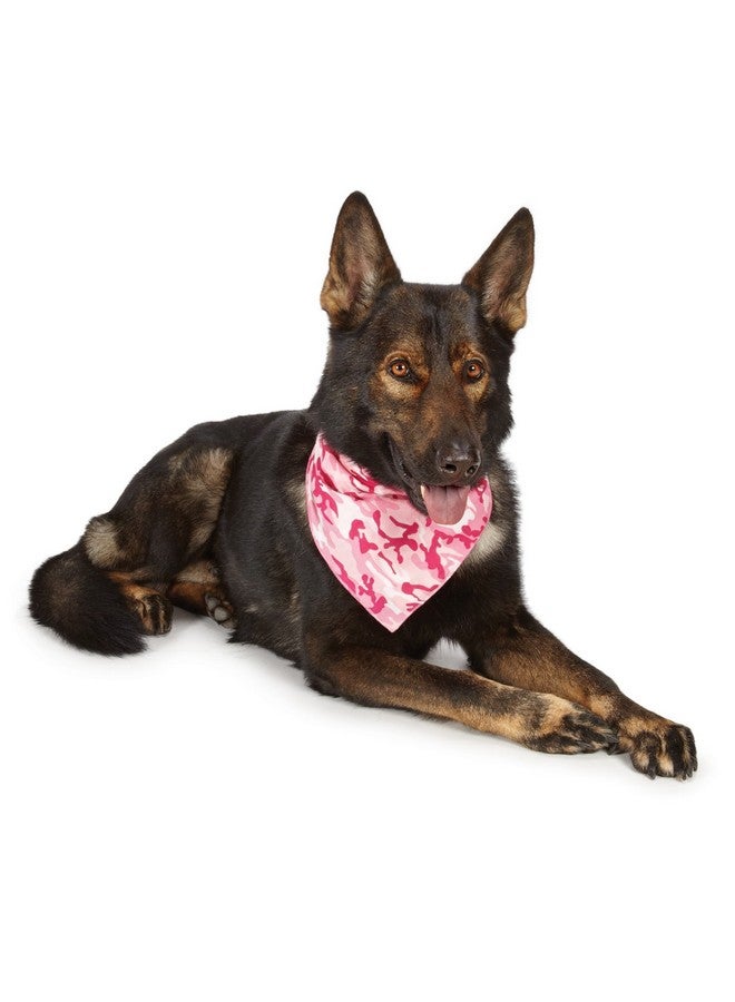 Aria Camo Bandanas for Dogs, Pink - Image 4