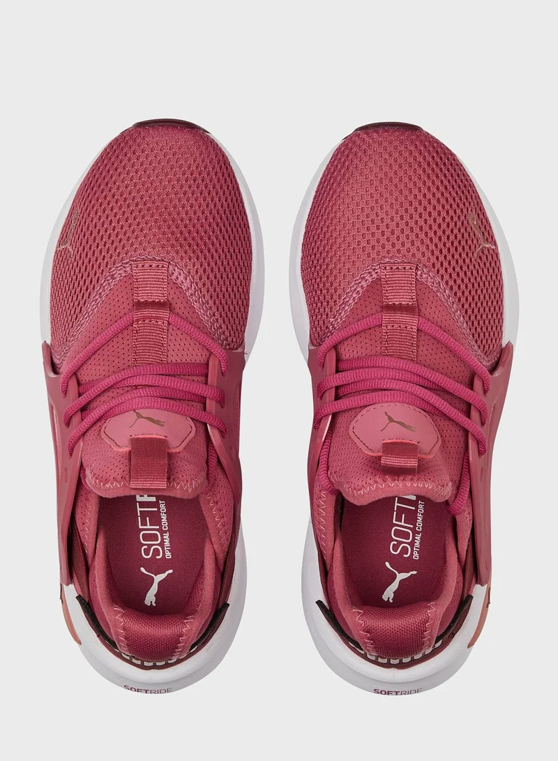 PUMA Softride Enzo Evo men shoes