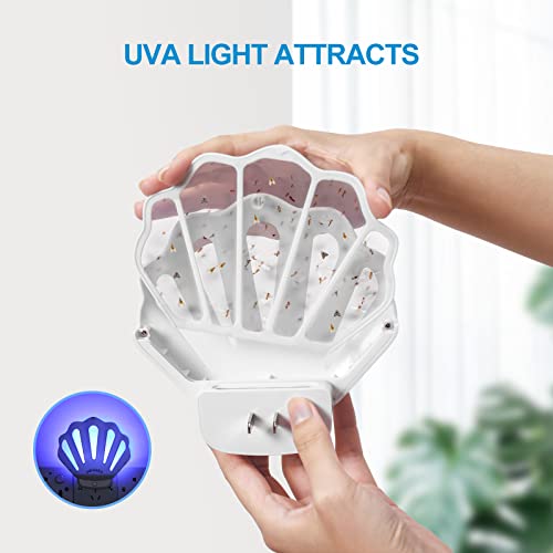 INRAGEO Flying Insect Trap Refill Kit Plug-in Sticky Card Plug Refill Replacement Glue Cards for HU002 Insect Trap (5 Pack-Refill, Transparent) - Image 4