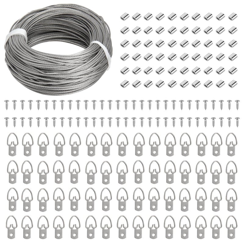 Blisstime Picture Hanging Kit - 100 Feet Braided Hanging Wire, 60 Pcs D Ring Picture Hangers with Screws and 60 Pcs Aluminum Crimping Loop Sleeve for Canvas Paintings, Photo Frames - Image 1